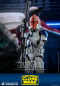 Preview: 501st Battalion Clone Trooper