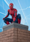 Preview: Spider-Man SHF