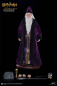 Preview: Albus Dumbledore 1/6