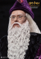 Preview: Albus Dumbledore 1/6