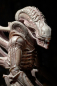 Preview: Aliens Serie 9