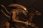 Preview: Alien Series 14