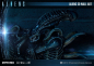 Preview: Aliens 3D Wall Art