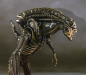 Preview: Alien Warrior Life-Size