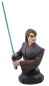 Preview: Anakin Skywalker