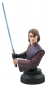 Preview: Anakin Skywalker