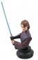 Preview: Anakin Skywalker