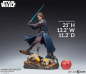 Preview: Anakin Skywalker