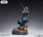 Preview: Anakin Skywalker