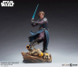 Preview: Anakin Skywalker