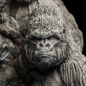 Preview: Apes Through the Ages