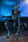 Preview: Arachnoid Alien (Movie Color) Actionfigur, Alien vs. Predator (Arcade 1994), 23 cm