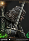 Preview: Aragorn