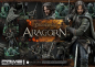 Preview: Aragorn