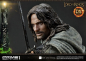 Preview: Aragorn