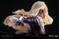 Preview: Black Cat ArtFX Premier