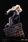 Preview: Black Cat ArtFX Premier