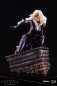 Preview: Black Cat ArtFX Premier