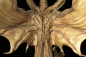 Preview: King Ghidorah