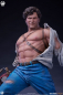 Preview: Ash Statue 1/4 Premier Series Deluxe Edition, Army of Darkness, 53 cm