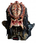 Preview: Predator Bust 1/1