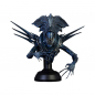 Preview: Alien Queen Bust 1/3