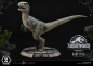 Preview: Baby Blue Statue 1:2 Prime Collectibles, Jurassic World: Das gefallene Königreich, 34 cm