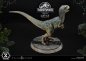 Preview: Baby Blue Statue 1:2 Prime Collectibles, Jurassic World: Das gefallene Königreich, 34 cm