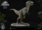 Preview: Baby Blue Statue 1:2 Prime Collectibles, Jurassic World: Das gefallene Königreich, 34 cm