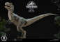 Preview: Baby Blue Statue 1:2 Prime Collectibles, Jurassic World: Das gefallene Königreich, 34 cm