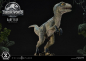 Preview: Baby Blue Statue 1:2 Prime Collectibles, Jurassic World: Das gefallene Königreich, 34 cm