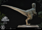 Preview: Baby Blue Statue 1:2 Prime Collectibles, Jurassic World: Das gefallene Königreich, 34 cm