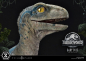 Preview: Baby Blue Statue 1:2 Prime Collectibles, Jurassic World: Das gefallene Königreich, 34 cm