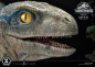 Preview: Baby Blue Statue 1:2 Prime Collectibles, Jurassic World: Das gefallene Königreich, 34 cm