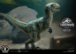 Preview: Baby Blue Statue 1:2 Prime Collectibles, Jurassic World: Das gefallene Königreich, 34 cm