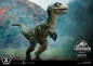 Preview: Baby Blue Statue 1:2 Prime Collectibles, Jurassic World: Das gefallene Königreich, 34 cm