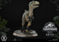 Preview: Baby Blue Statue 1:2 Prime Collectibles, Jurassic World: Das gefallene Königreich, 34 cm