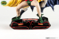 Preview: Batman & Robin Statue 1:8, DC Comics, 23 cm