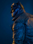 Preview: Batman Statue 1:4, Zack Snyder's Justice League, 59 cm