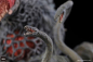 Preview: Biollante Statue Hiper Modering EX Gekizou Series, Godzilla vs. Biollante, 13 cm