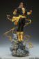 Preview: Black Adam Statue, DC Comics, 53 cm