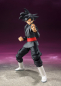 Preview: Black Goku SHF