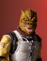 Preview: Bossk Collectors Gallery