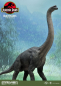 Preview: Brachiosaurus