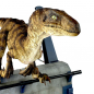 Preview: Breakout Raptor