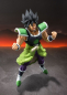 Preview: Broly SHF