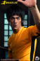 Preview: Bruce Lee