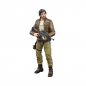 Preview: Cassian Andor