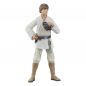 Preview: Luke Skywalker Action Figure Black Series 09, Star Wars: Episode IV, 15 cm