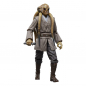 Preview: Kit Fisto Action Figure Black Series 20th Anniversary Exclusive, Star Wars: Episode III, 15 cm